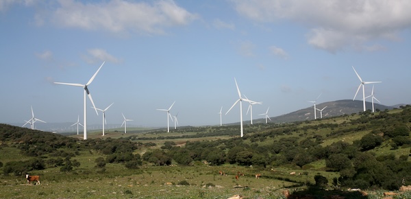 Audax