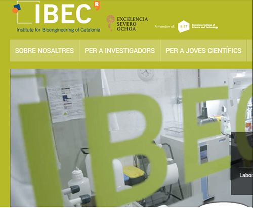 ibec